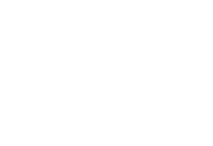 Best Buy Canada Logo White