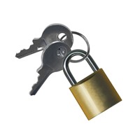 Replacement Padlock with Key for NeXtrac Locking Cover