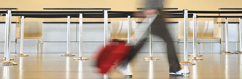 Single Line or Multiple Lines: Which Should You Choose?