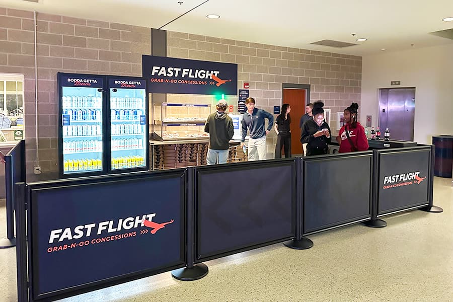 Super Bowl-Sized Crowds: A Day in the Life of Stadium Queuing Systems