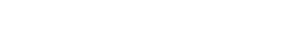American Airlines White