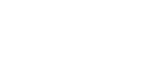 Autozone White