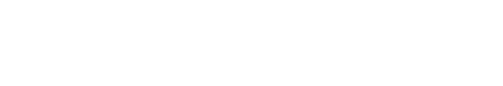 United Airlines White