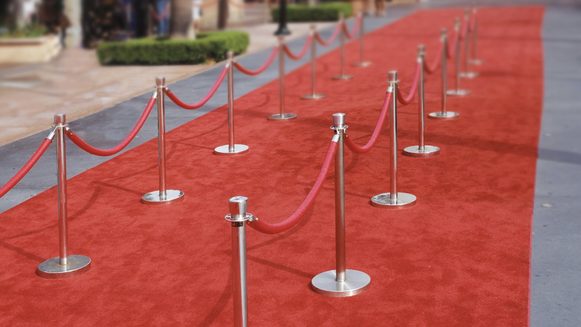 Entertainment,TraditionalPosts,Rope/Chain,Queuing,Barriers