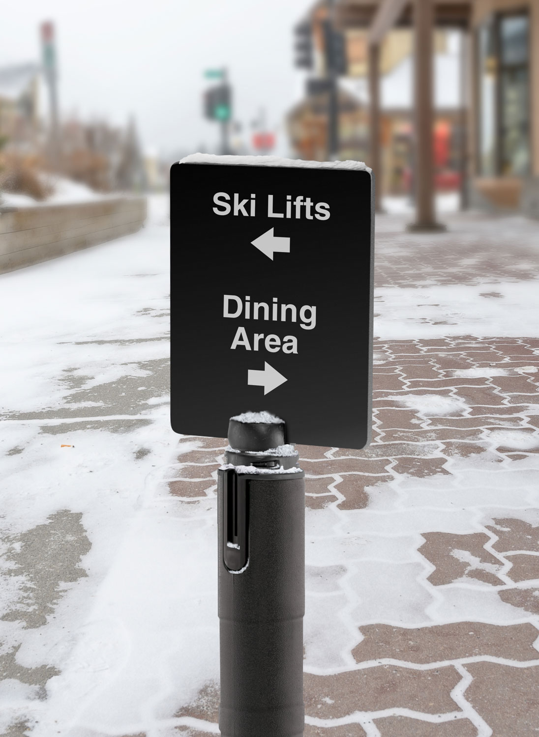 Tempest with sign outside in the snow